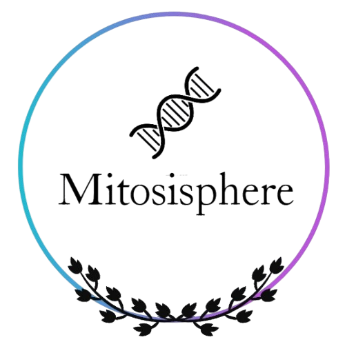 Mitosisphere